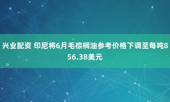 兴业配资 印尼将6月毛棕榈油参考价格下调至每吨856.38美元