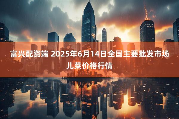 富兴配资端 2025年6月14日全国主要批发市场儿菜价格行情