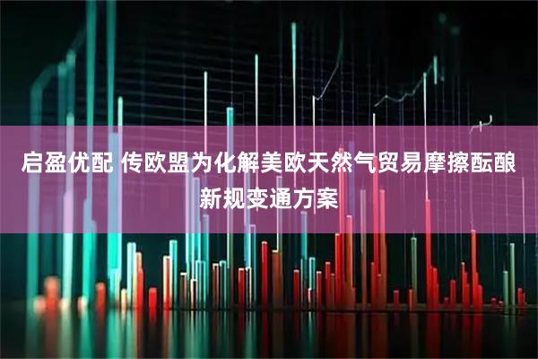 启盈优配 传欧盟为化解美欧天然气贸易摩擦酝酿新规变通方案
